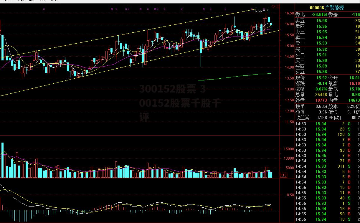 300152股票 300152股票千股千评