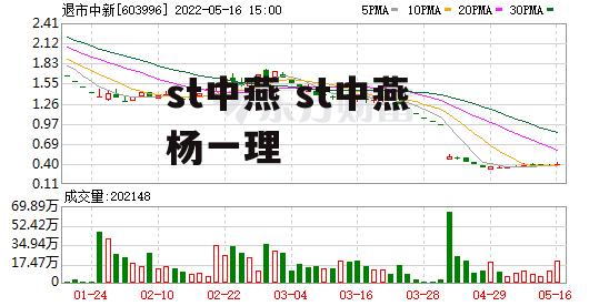 st中燕 st中燕 杨一理