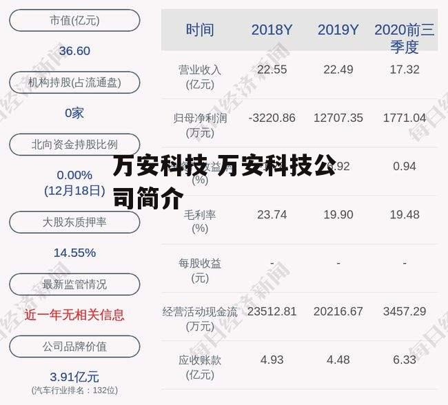 万安科技 万安科技公司简介