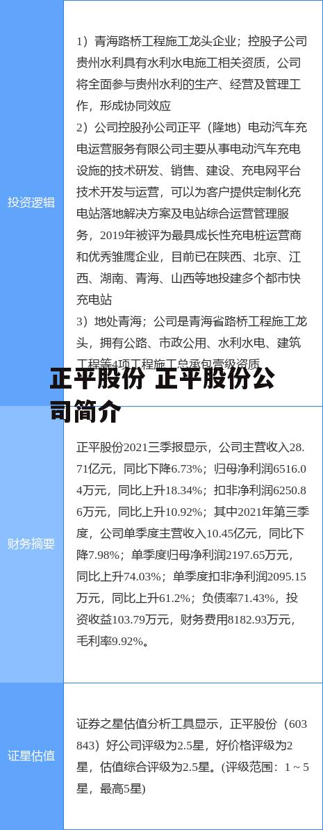 正平股份 正平股份公司简介