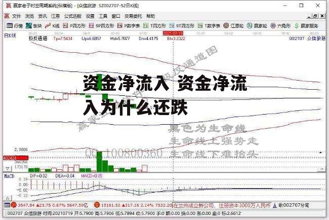 资金净流入 资金净流入为什么还跌