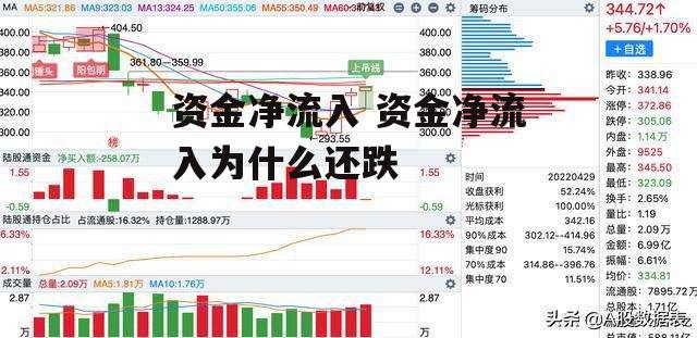 资金净流入 资金净流入为什么还跌