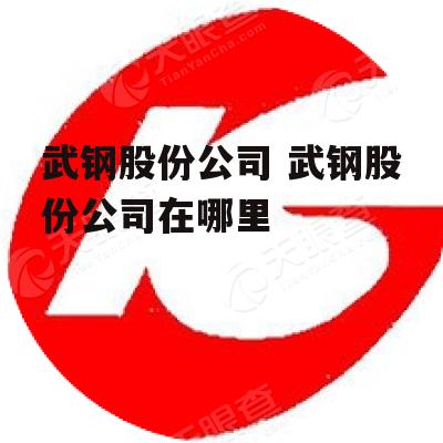 武钢股份公司 武钢股份公司在哪里