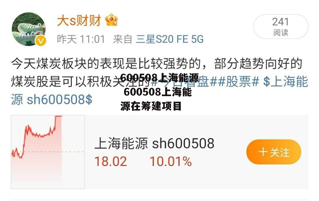 600508上海能源 600508上海能源在筹建项目