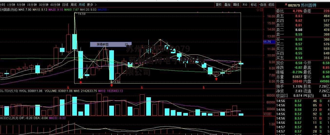 苏州固锝002079 苏州固锝电子股份有限公司