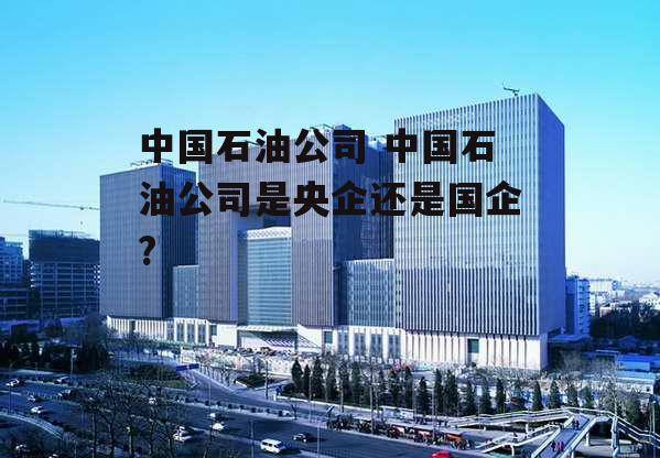 中国石油公司 中国石油公司是央企还是国企?