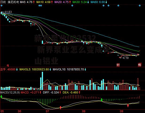 新界泵业002532 新界泵业怎么变成天山铝业