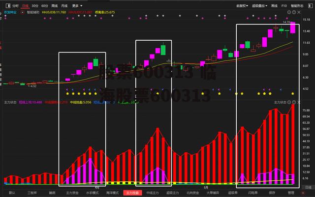 股票600313 临海股票600313