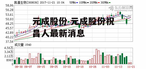 元成股份 元成股份祝昌人最新消息