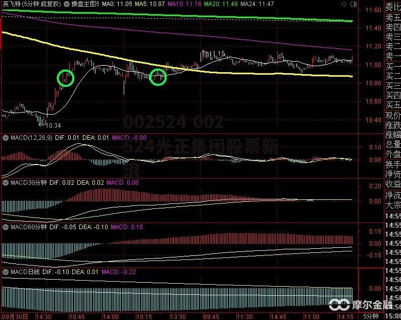 002524 002524光正集团股票新浪
