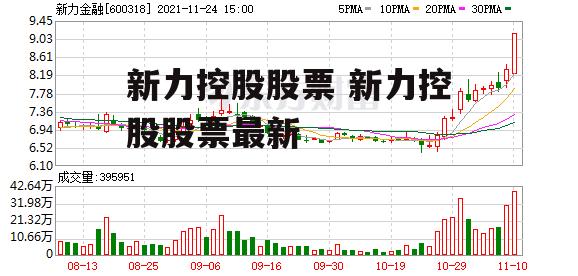 新力控股股票