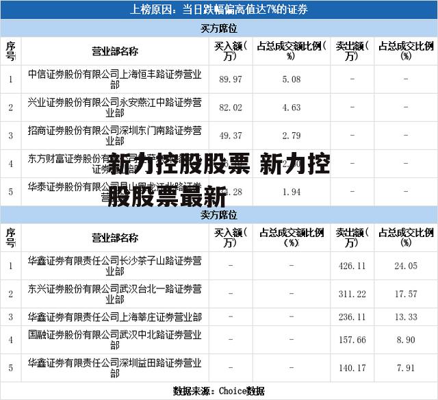 新力控股股票