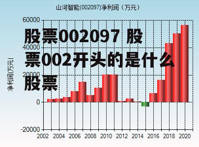 股票002097 股票002开头的是什么股票