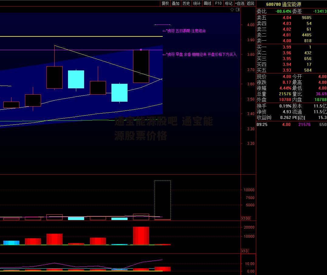 通宝能源股吧 通宝能源股票价格