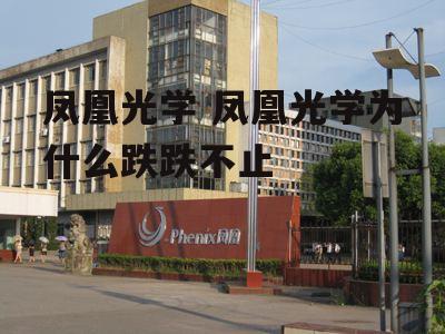 凤凰光学 凤凰光学为什么跌跌不止