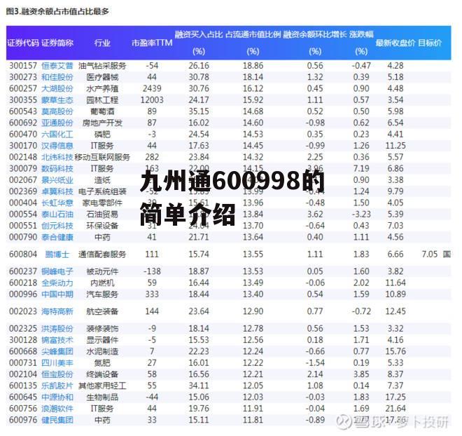 九州通600998的简单介绍