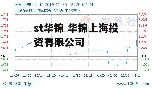 st华锦 华锦上海投资有限公司