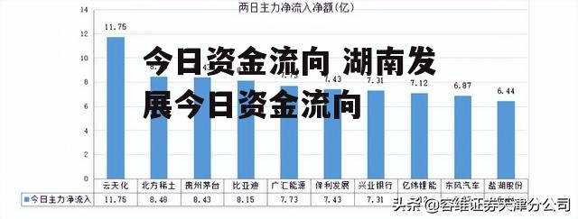 今日资金流向