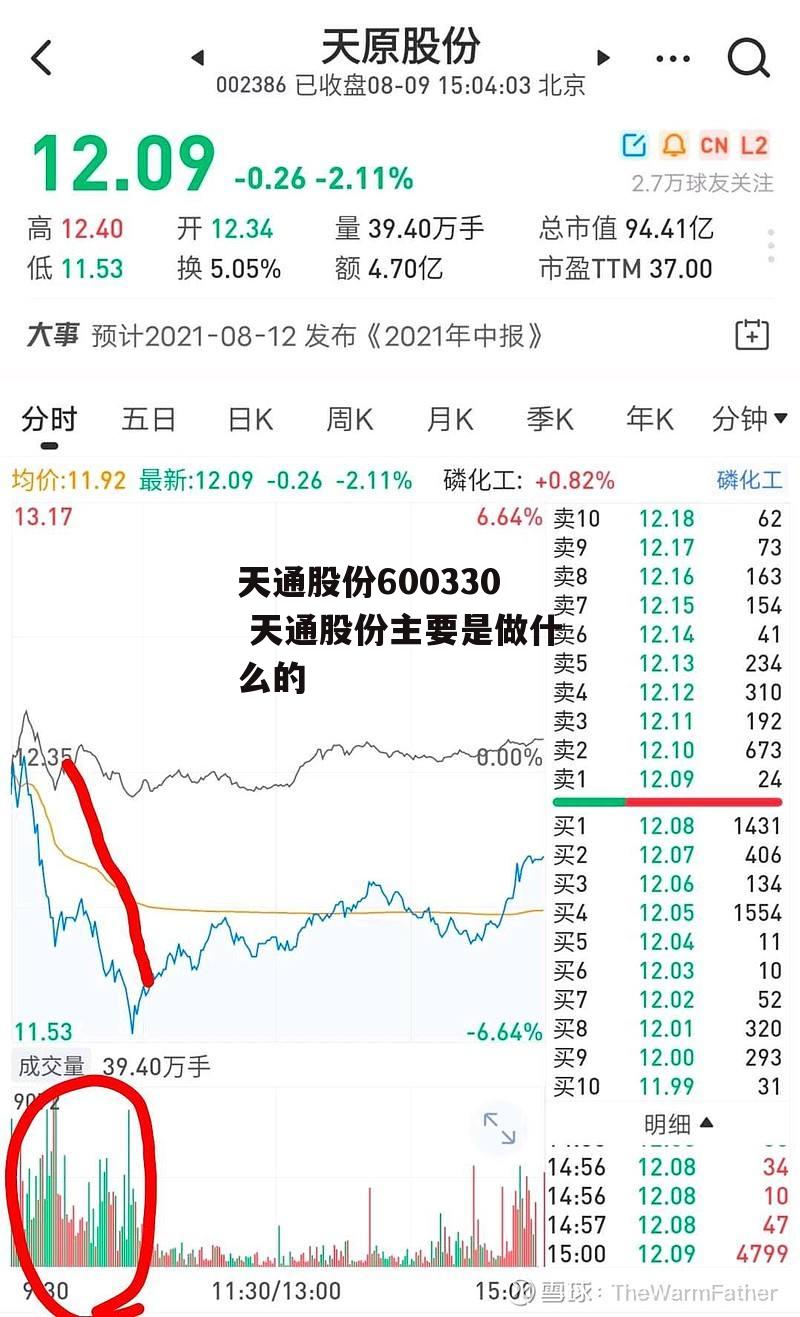 天通股份600330 天通股份主要是做什么的