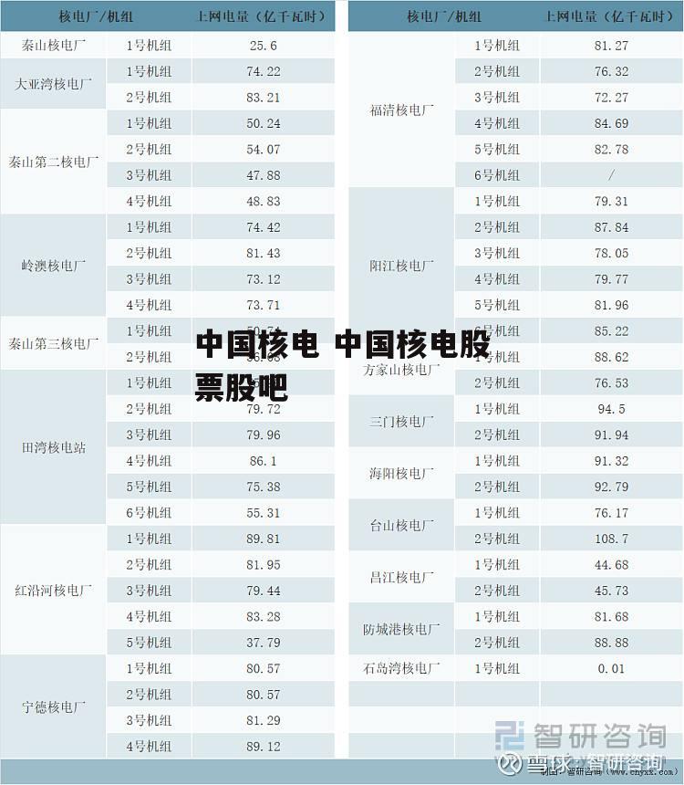 中国核电 中国核电股票股吧