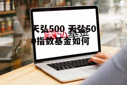 天弘500 天弘500指数基金如何