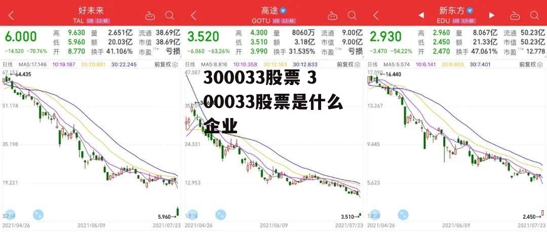 300033股票 300033股票是什么企业