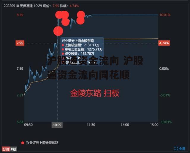 沪股通资金流向 沪股通资金流向同花顺