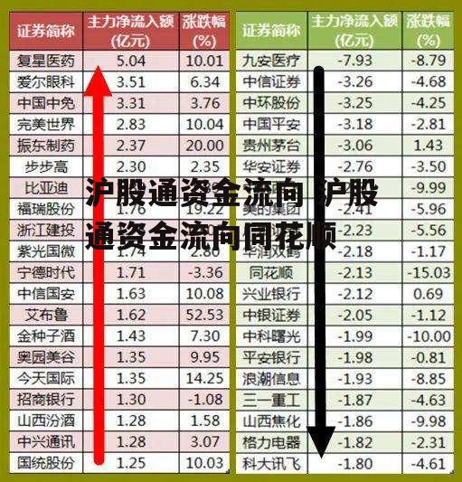 沪股通资金流向 沪股通资金流向同花顺