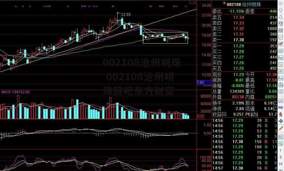 002108沧州明珠 002108沧州明珠股吧东方财富