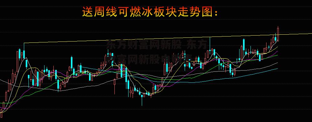 东方财富网新股 东方财富网新股申购表