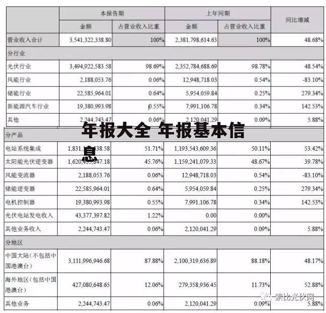 年报大全 年报基本信息