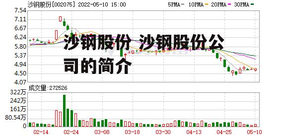 沙钢股份 沙钢股份公司的简介