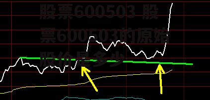 股票600503 股票600503的原始股价是多少