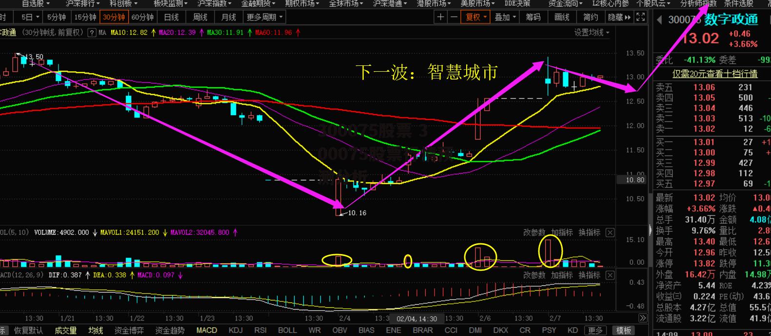 300075股票 300075股票行情预测分析