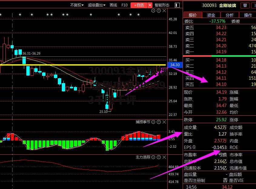 300093金刚玻璃 金刚玻璃300093千股千评
