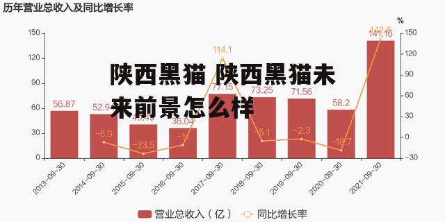 陕西黑猫 陕西黑猫未来前景怎么样