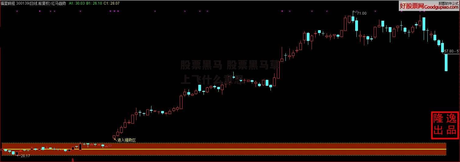 股票黑马 股票黑马草上飞什么意思