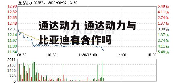 通达动力 通达动力与比亚迪有合作吗