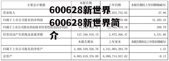 600628新世界 600628新世界简介