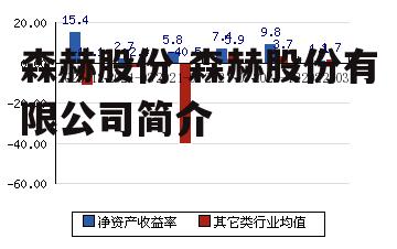 森赫股份 森赫股份有限公司简介