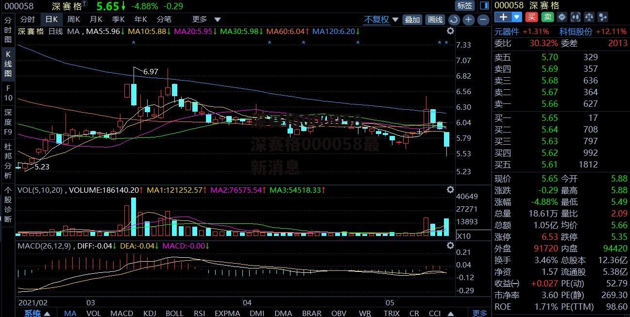 深赛格000058 深赛格000058最新消息