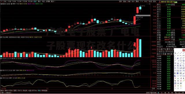 广电电子股票 广电电子股票现在改名什么