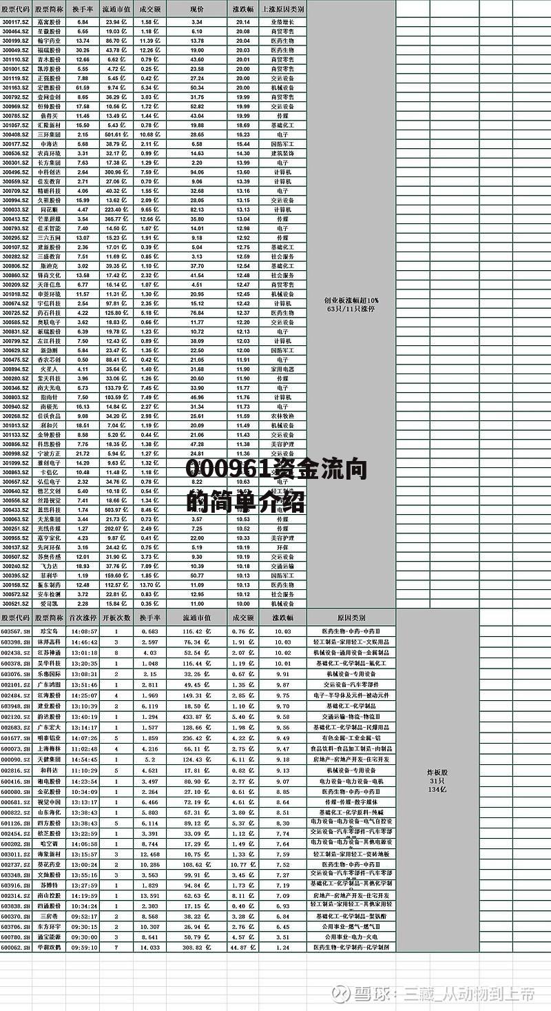 000961资金流向的简单介绍