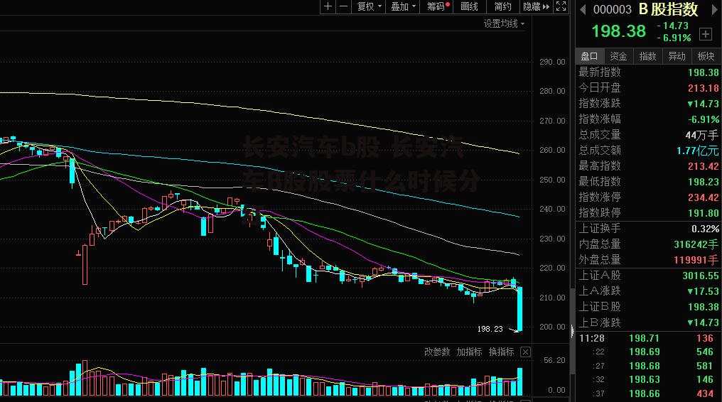 长安汽车b股 长安汽车B股股票什么时候分红