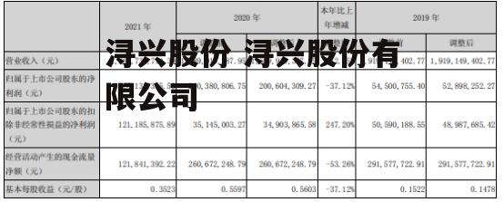 浔兴股份 浔兴股份有限公司