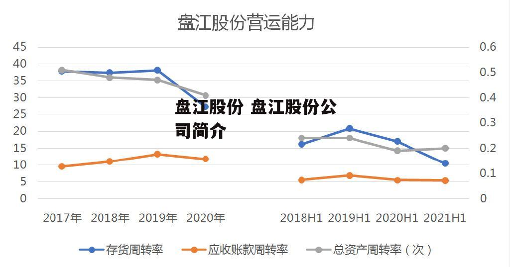 盘江股份 盘江股份公司简介