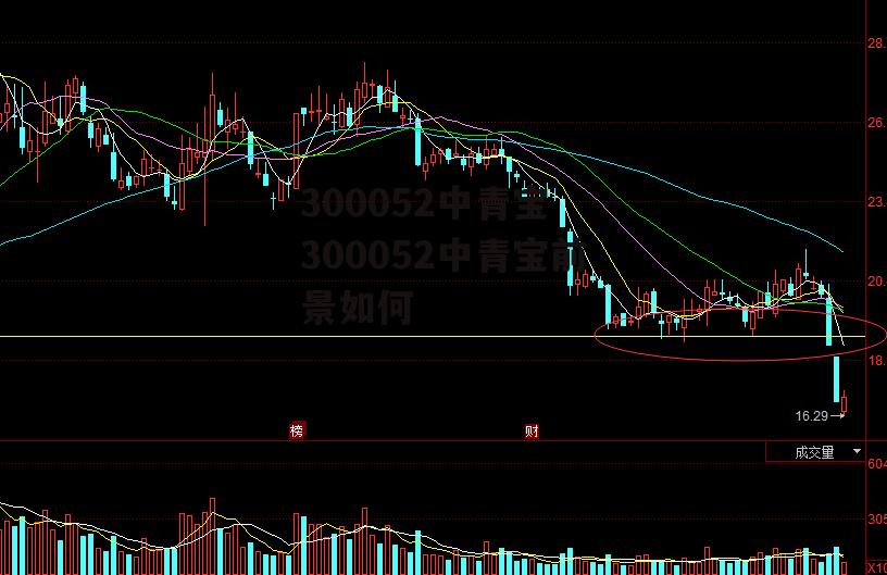 300052中青宝 300052中青宝前景如何