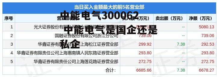 中能电气300062 中能电气是国企还是私企