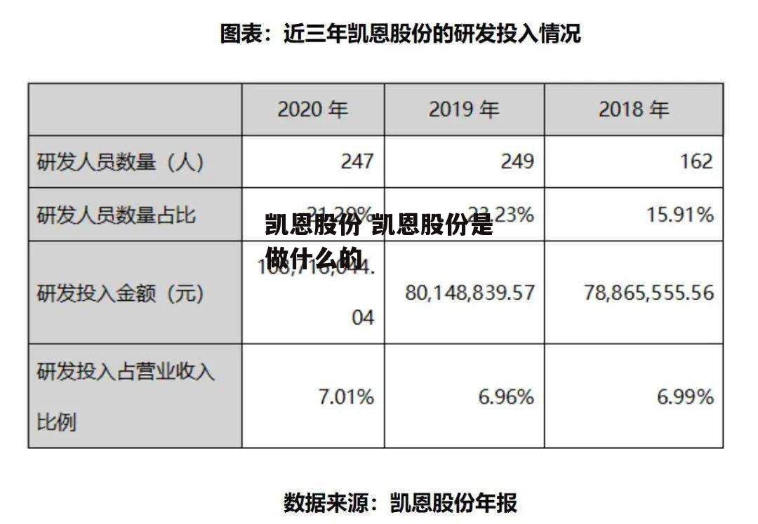 凯恩股份 凯恩股份是做什么的