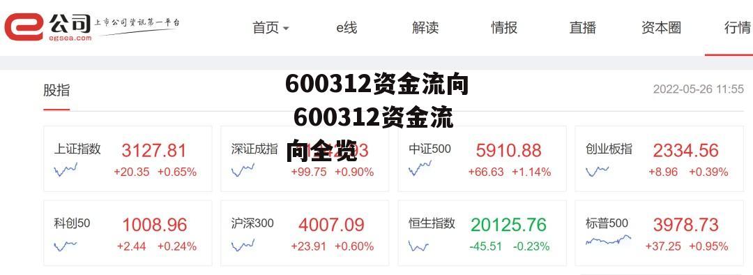 600312资金流向 600312资金流向全览